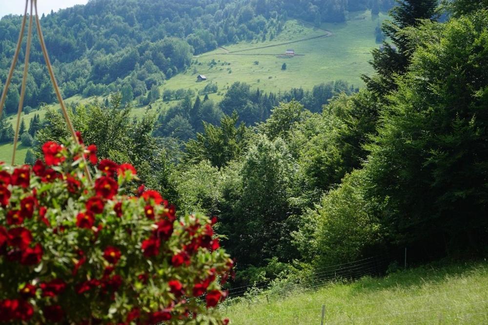 Gorczanskie Siedlisko Ochotnica Górna 외부 사진